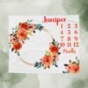 il_fullxfull.6726525516_qowz.jpg Baby Milestone Blanket Floral Wreath Design Personalized Name Custom Baby Growth Tracker