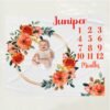 il_fullxfull.6726525840_3umx.jpg Baby Milestone Blanket Floral Wreath Design Personalized Name Custom Baby Growth Tracker