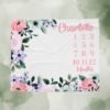 il_fullxfull.6726675268_kh8m.jpg Personalized Floral Baby Milestone Blanket Custom Name Pink Green Purple Photography Prop Baby Shower Gift